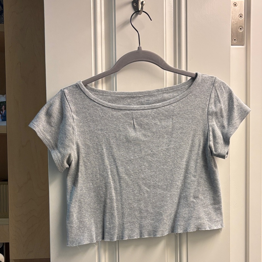 Brandy Melville Gray Cropped T-Shirt